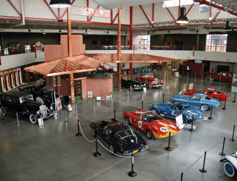 bgFirstSectionBanner 768x587